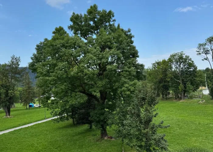 아파트 Yeti Krupowki 73c